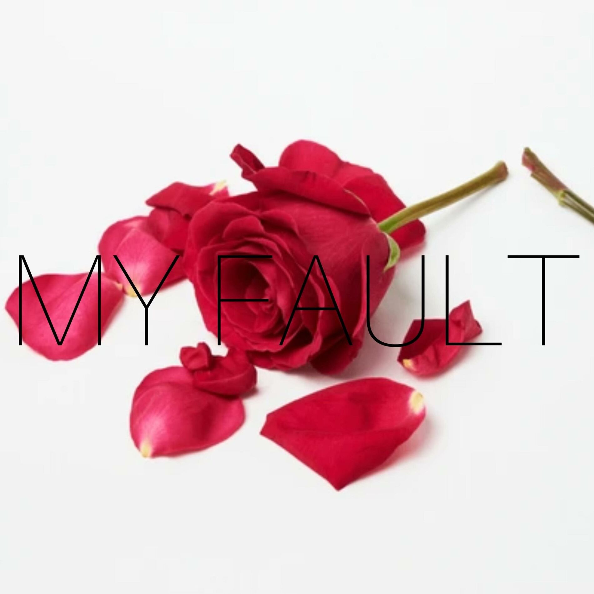 Album cover of My Fault