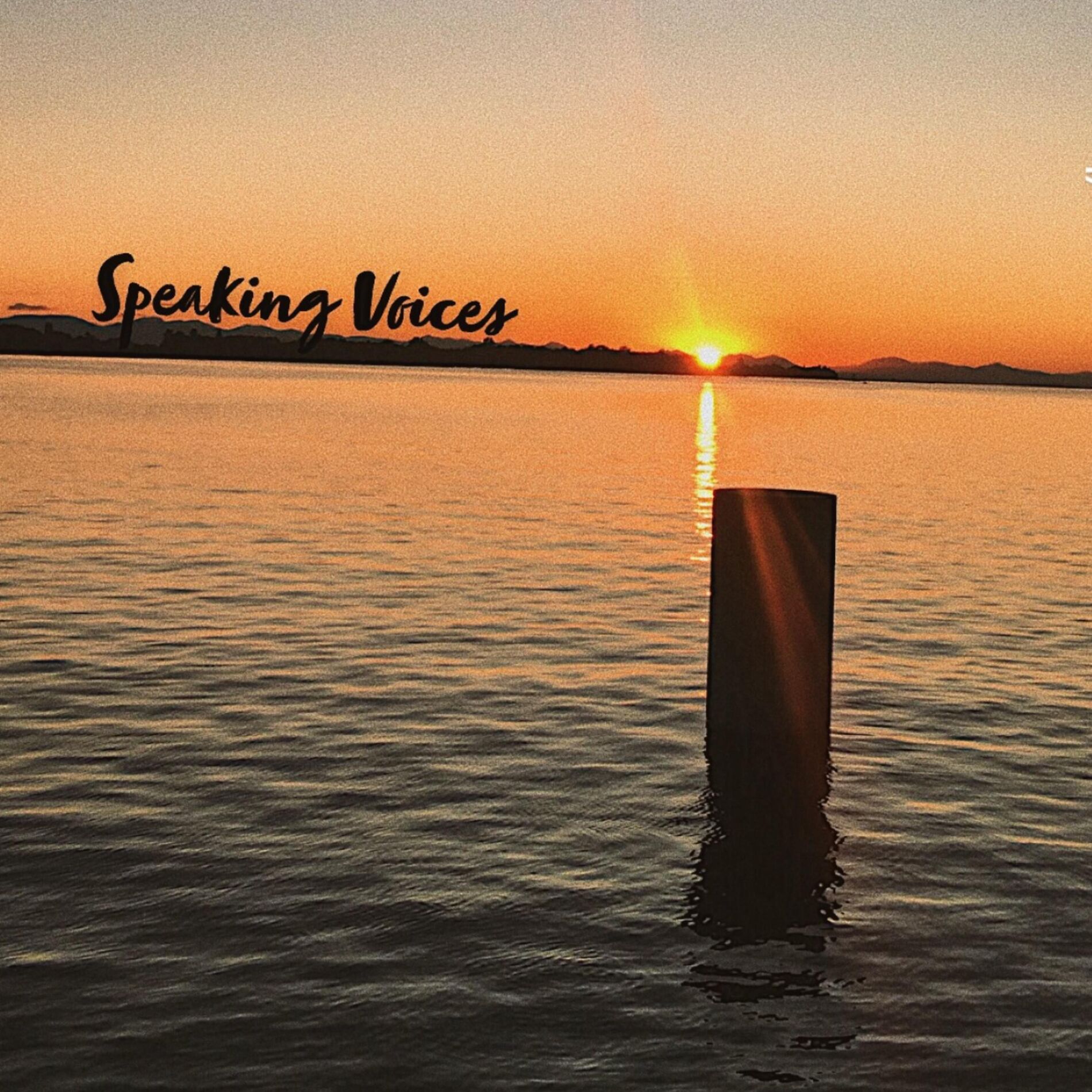 Album cover of Speaking Voices