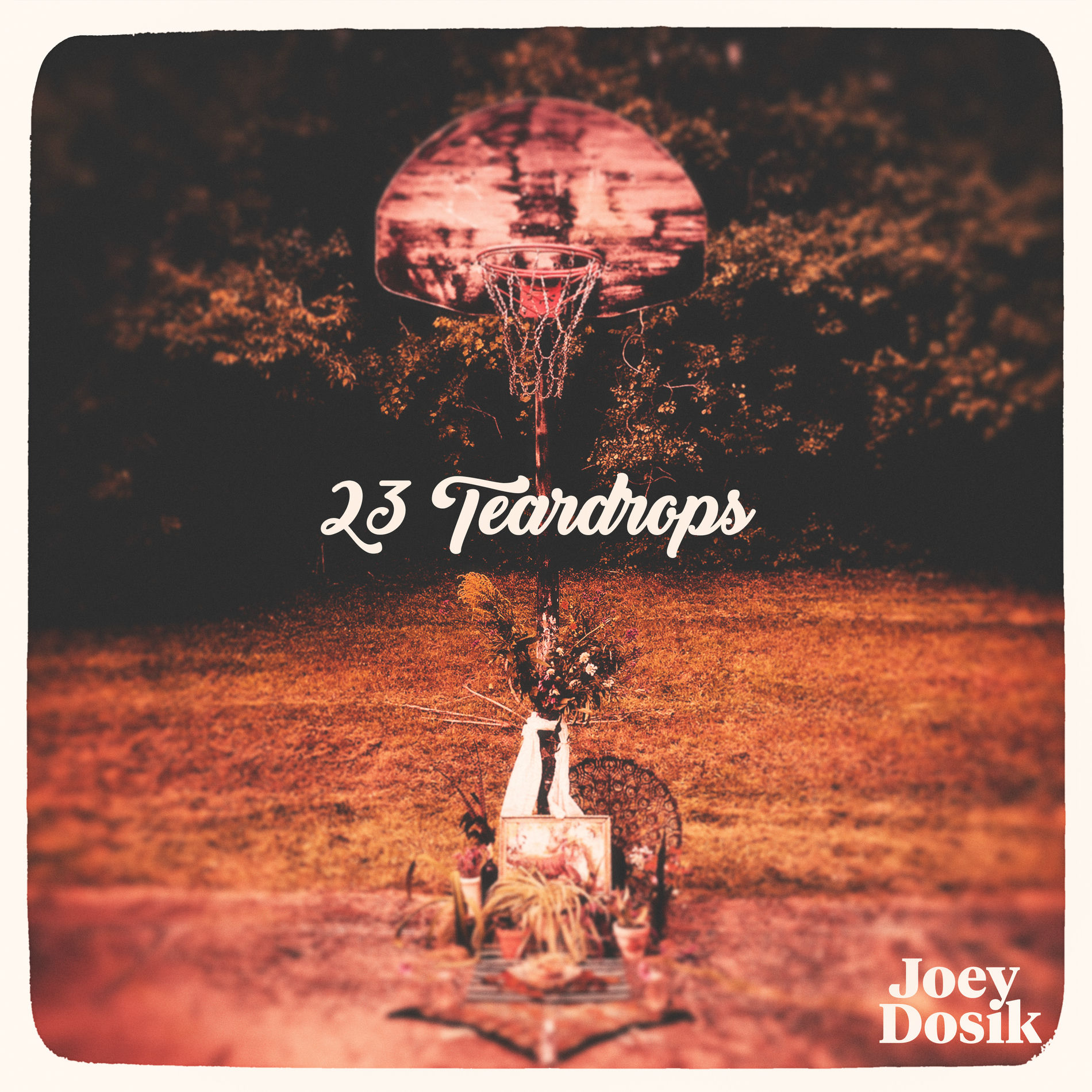 Album cover of 23 Teardrops