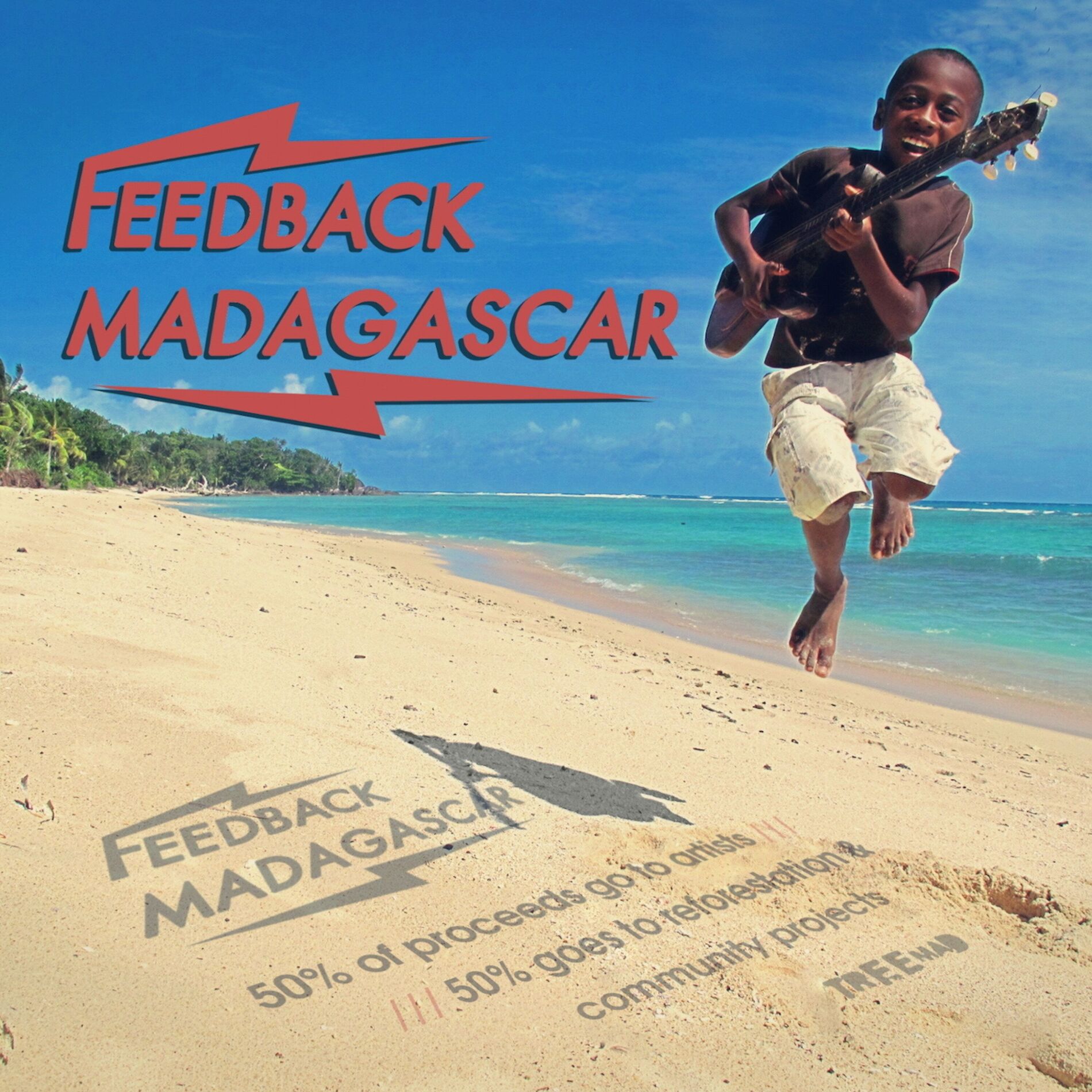 Album cover of Feedback Madagascar