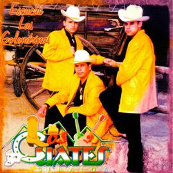 Cover of Escuché Las Golondrinas