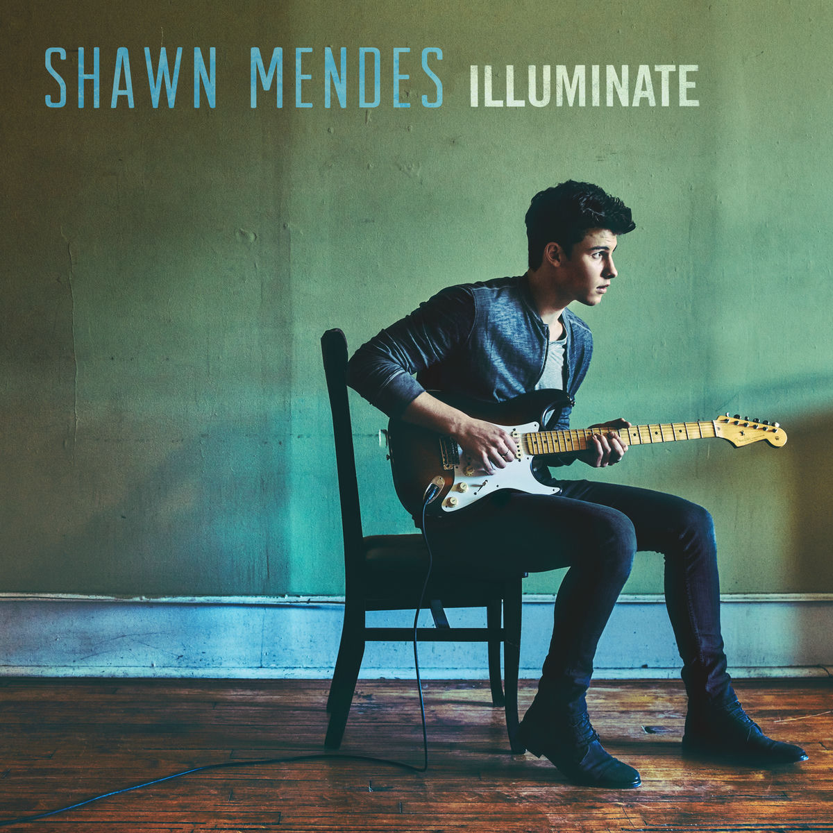 Album picture of Illuminate (Deluxe)