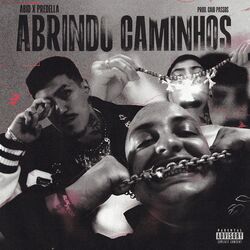 Cover of Abrindo Caminhos