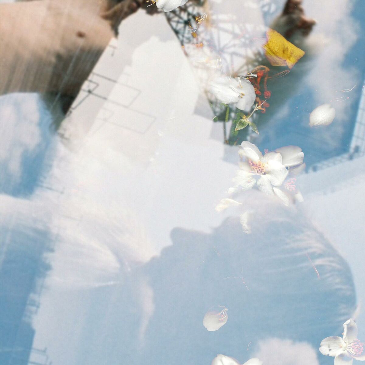 Album cover of gebrochenes licht
