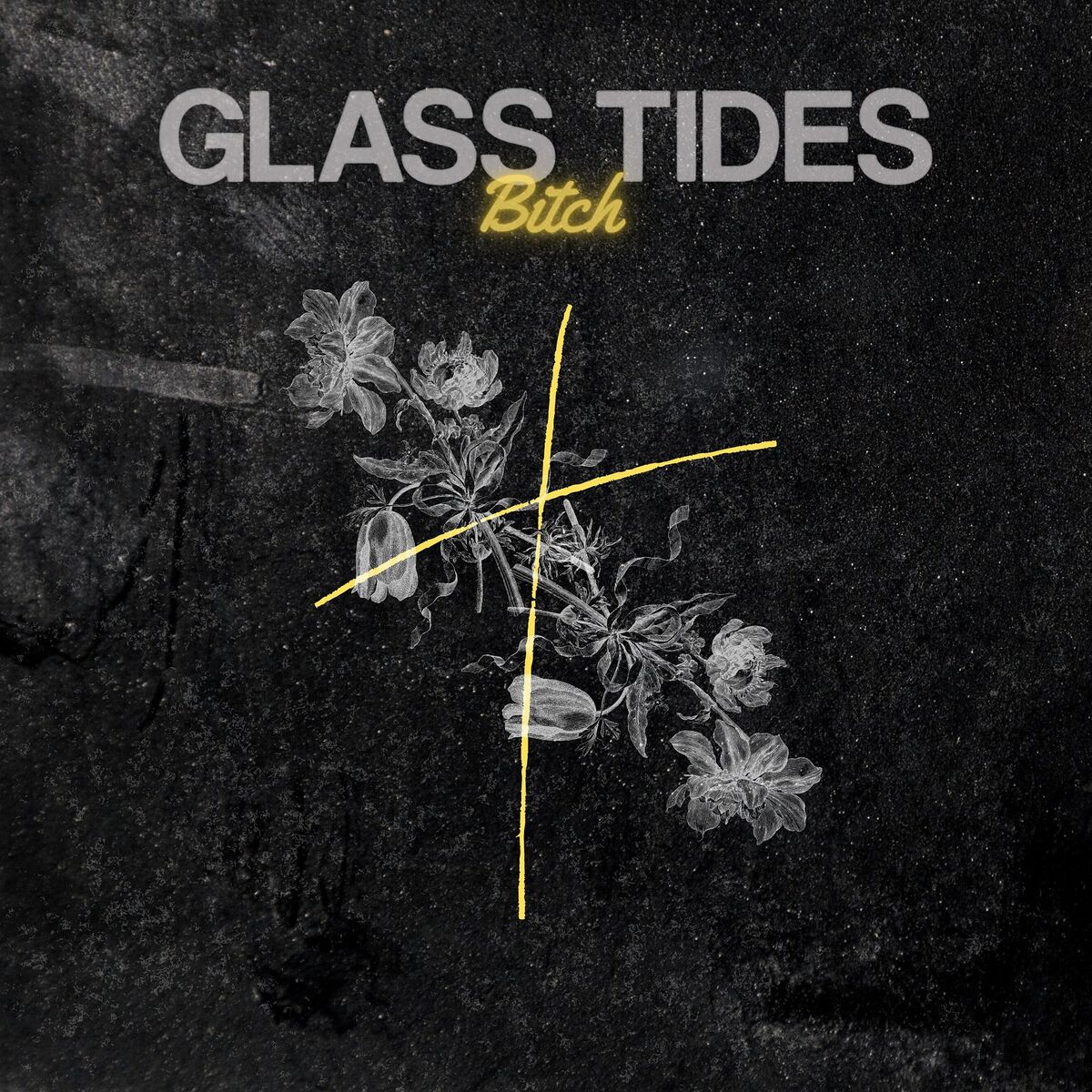 Album cover of Bitch
