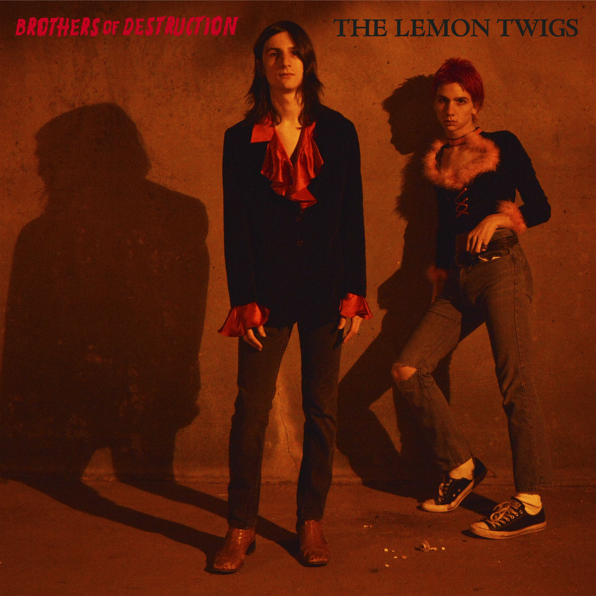 Album cover of Brothers of Destruction