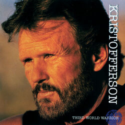 Cover of Third World Warrior