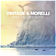 While The Earth Sleeps (Extended Mix) by Vintage & Morelli album cover