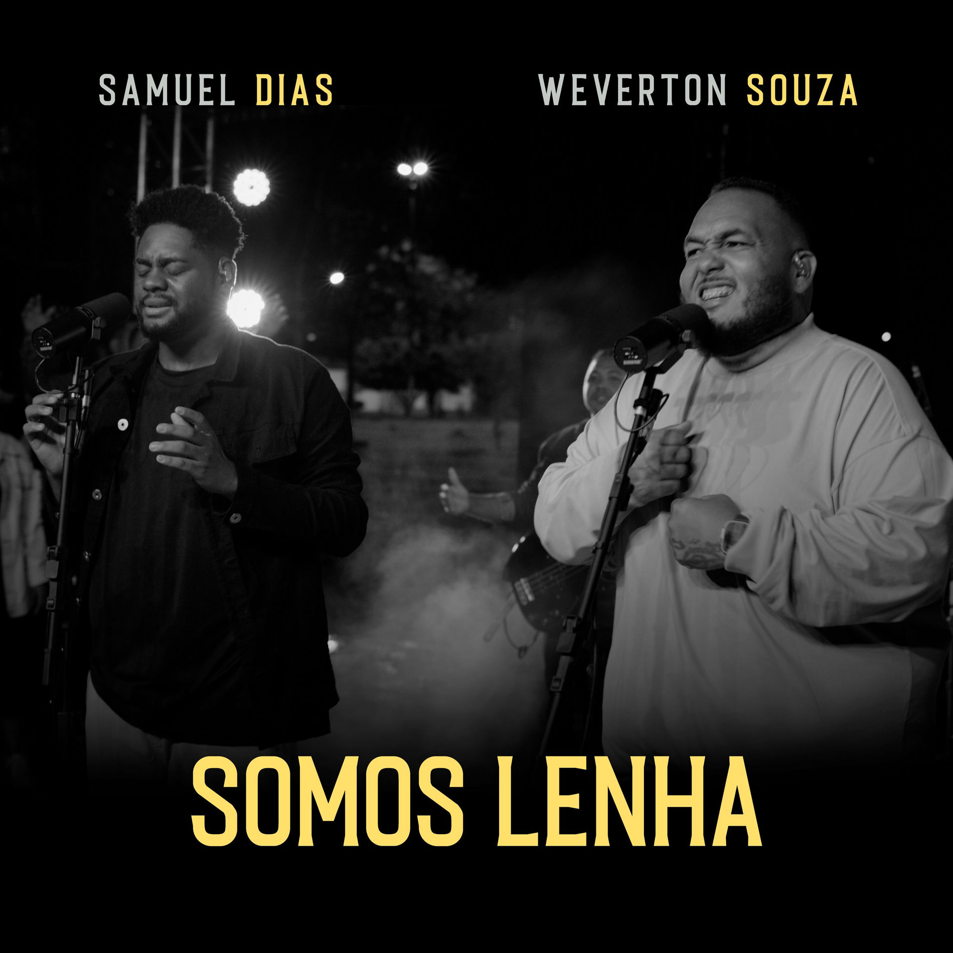 Album cover of Somos Lenha
