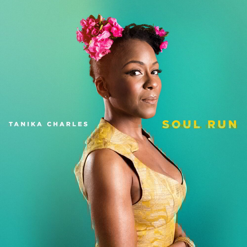 Picture of Soul Run