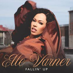 Cover of Fallin Up