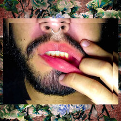 Cover of Carmim