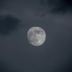 Cover of luna