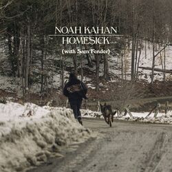 Cover of Homesick