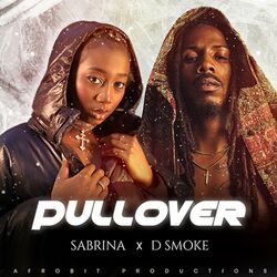 Cover of Pullover
