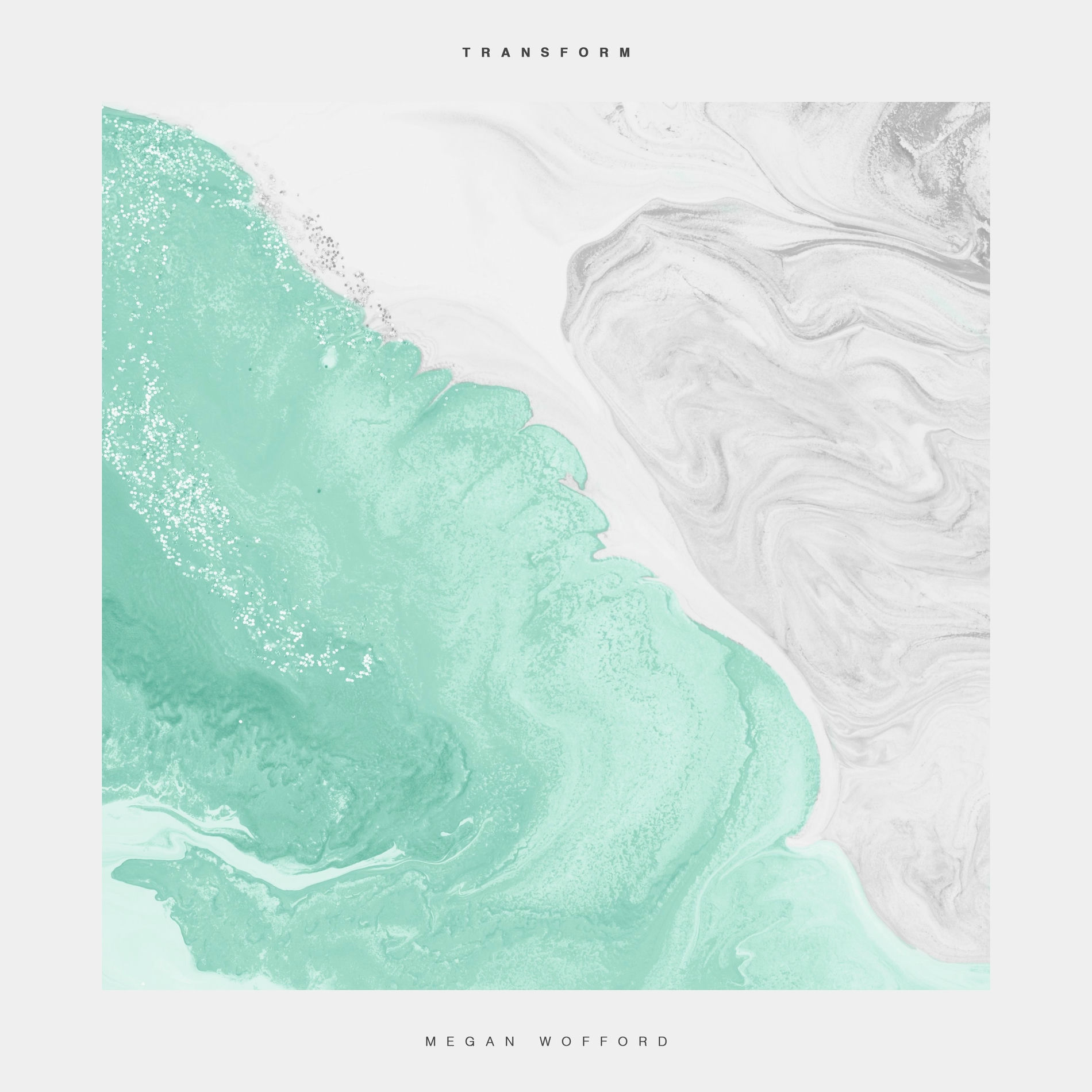 Album cover of Transform
