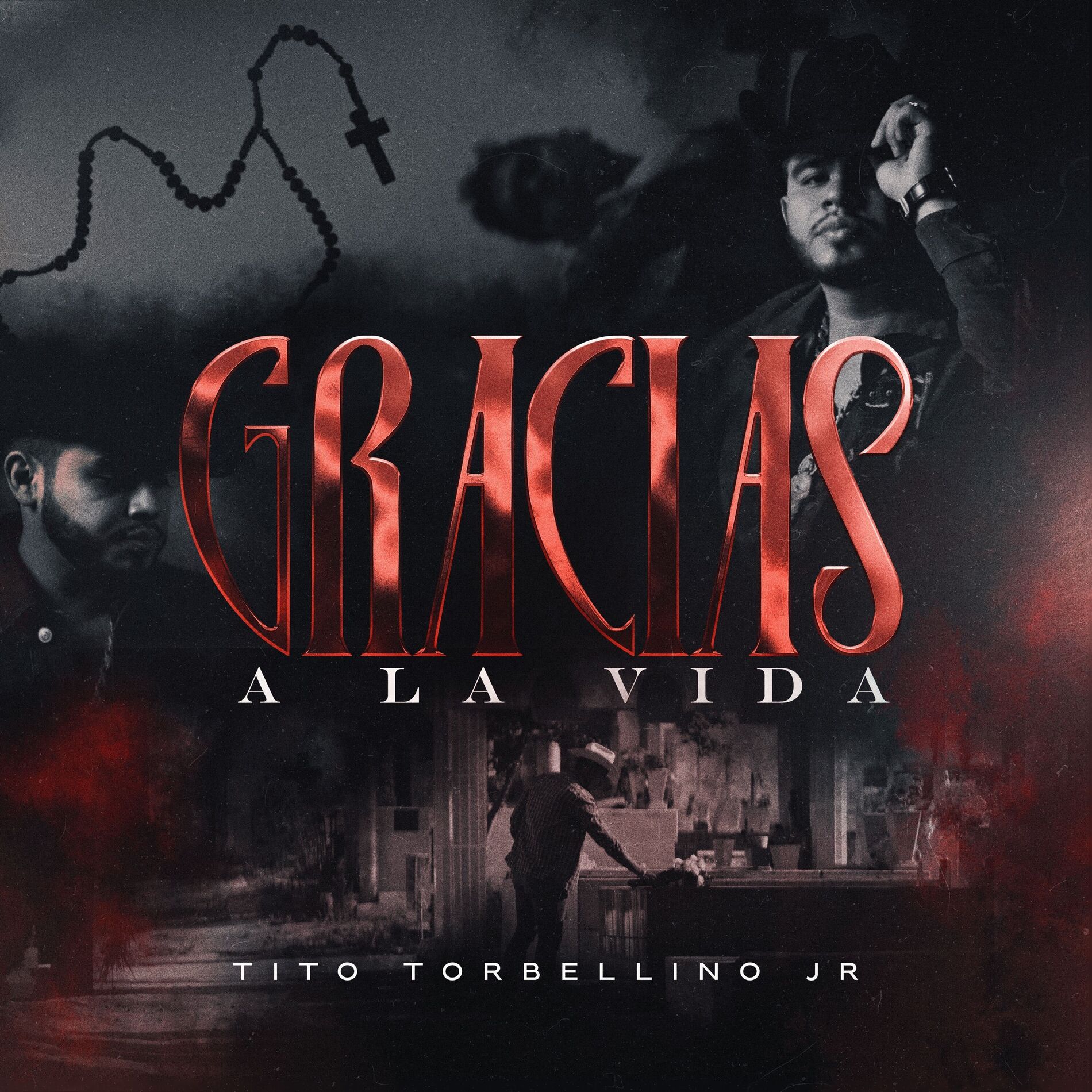 Album cover of Gracias A La Vida