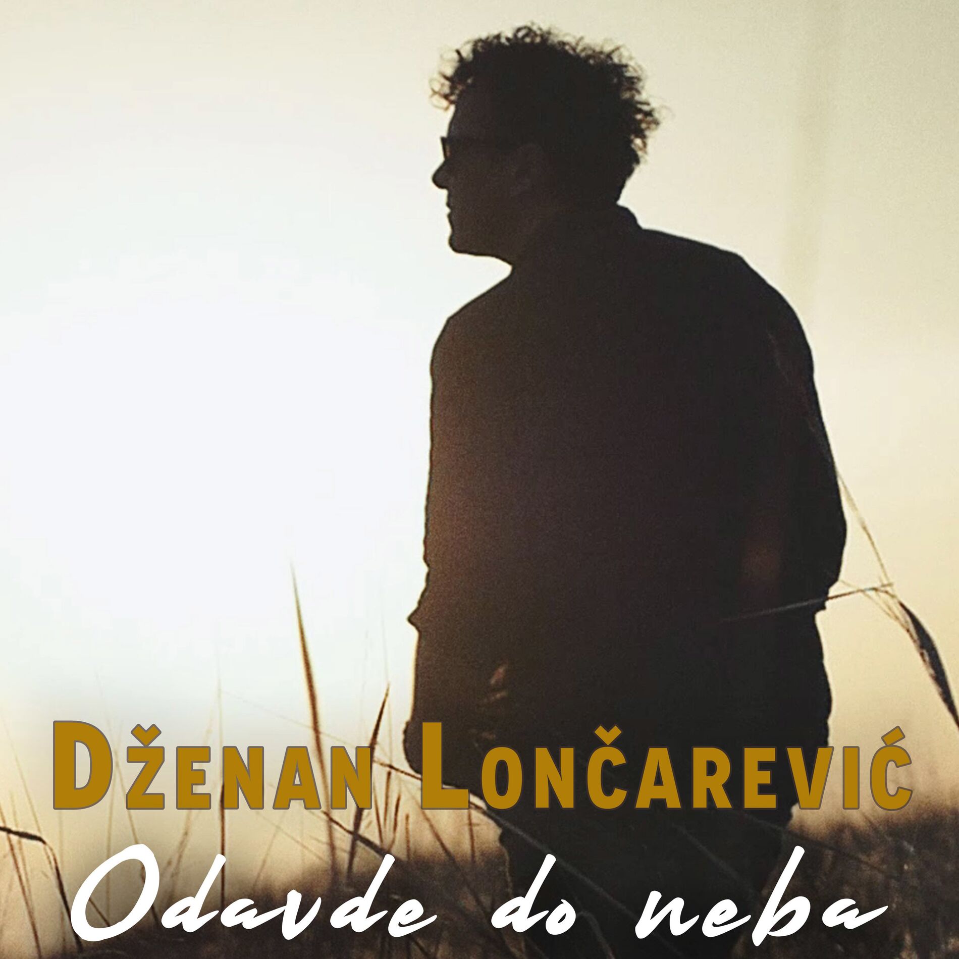 Album cover of Odavde do neba