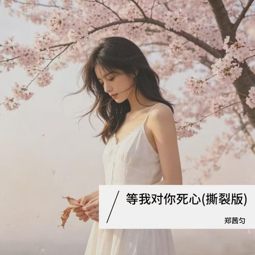 等我对你死心 (撕裂版)