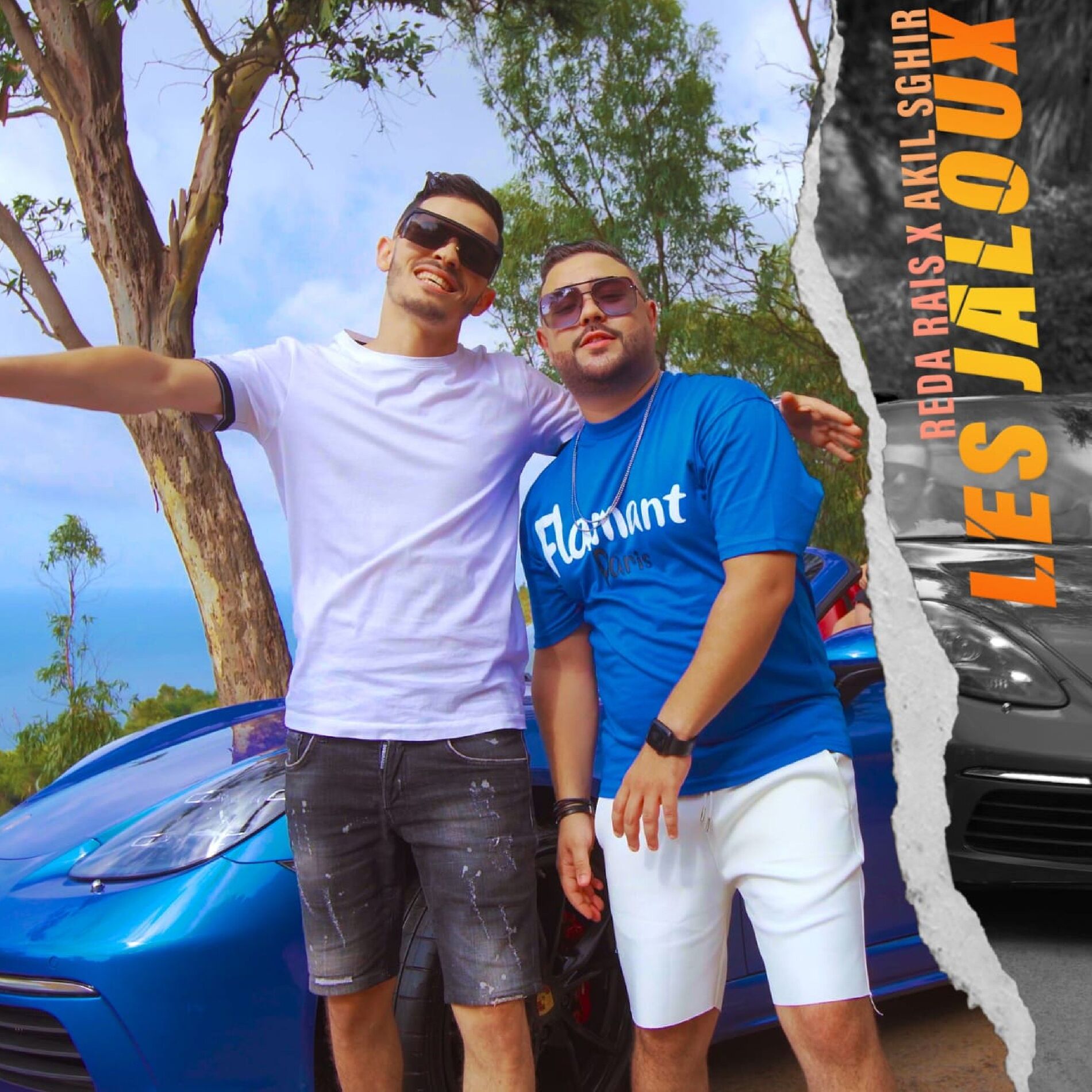 Album cover of Les jaloux