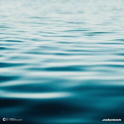 Cover of Natureza Rara