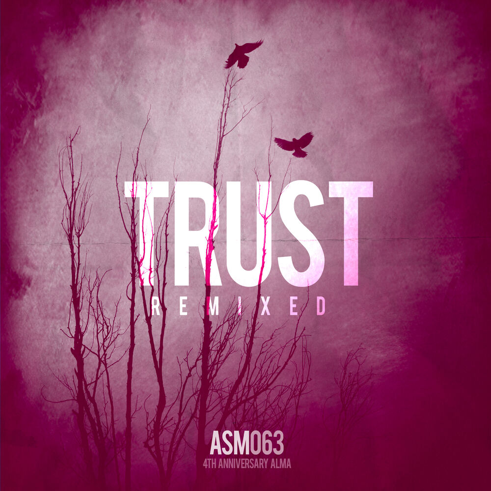 Picture of Trust Remixed