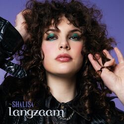 Cover of Langzaam