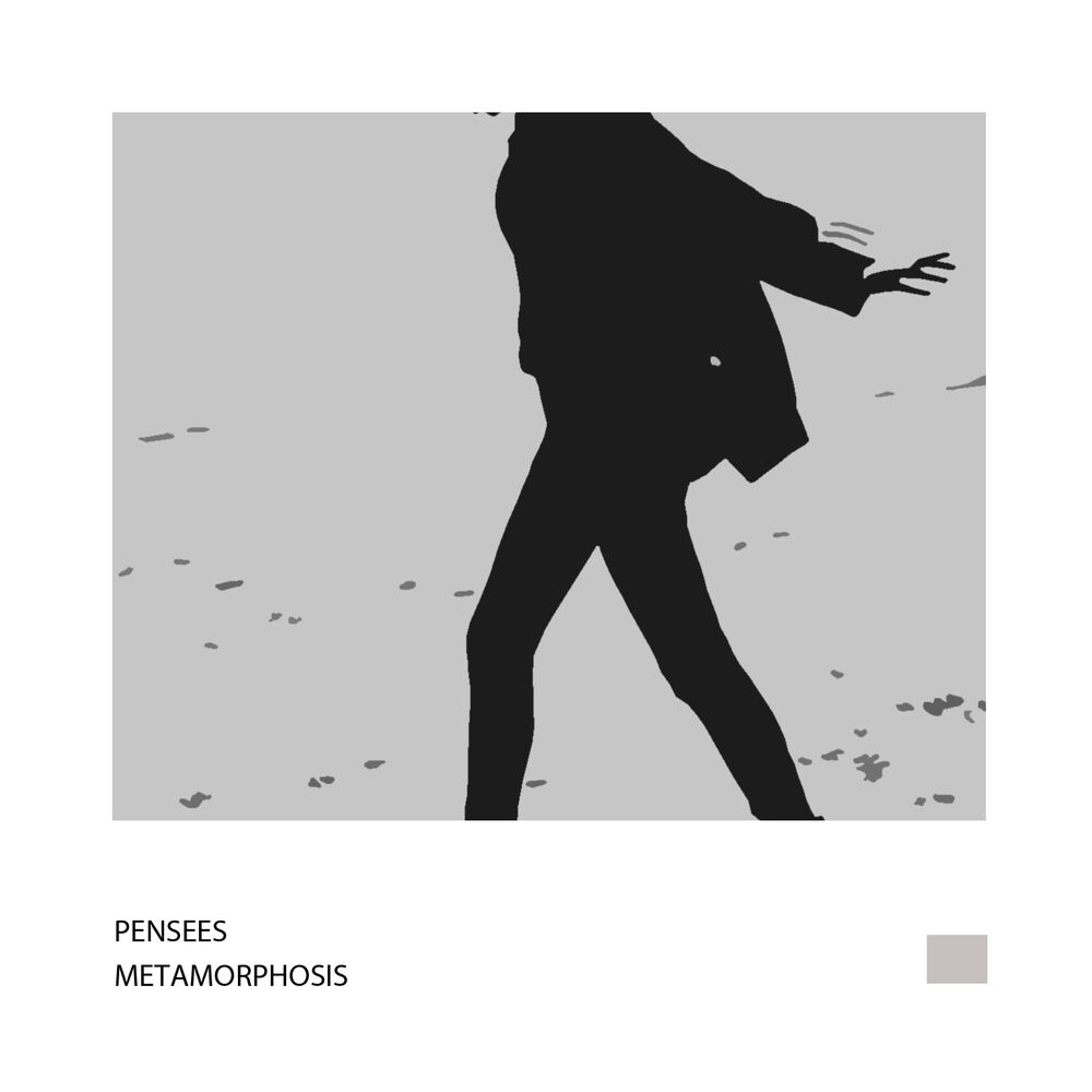 Picture of Metamorphosis