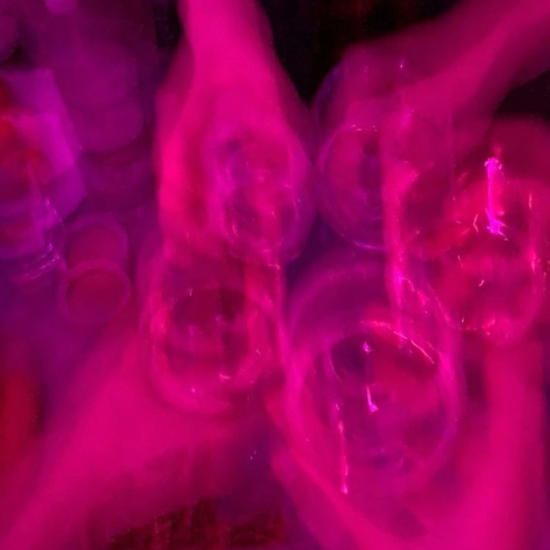 Album cover of Rip Klub 23