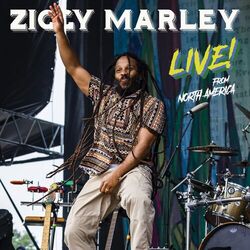 Cover of Personal Revolution (Live)