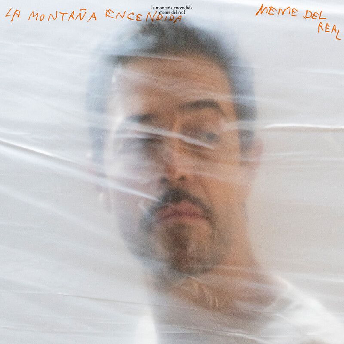 Album cover of Embeces