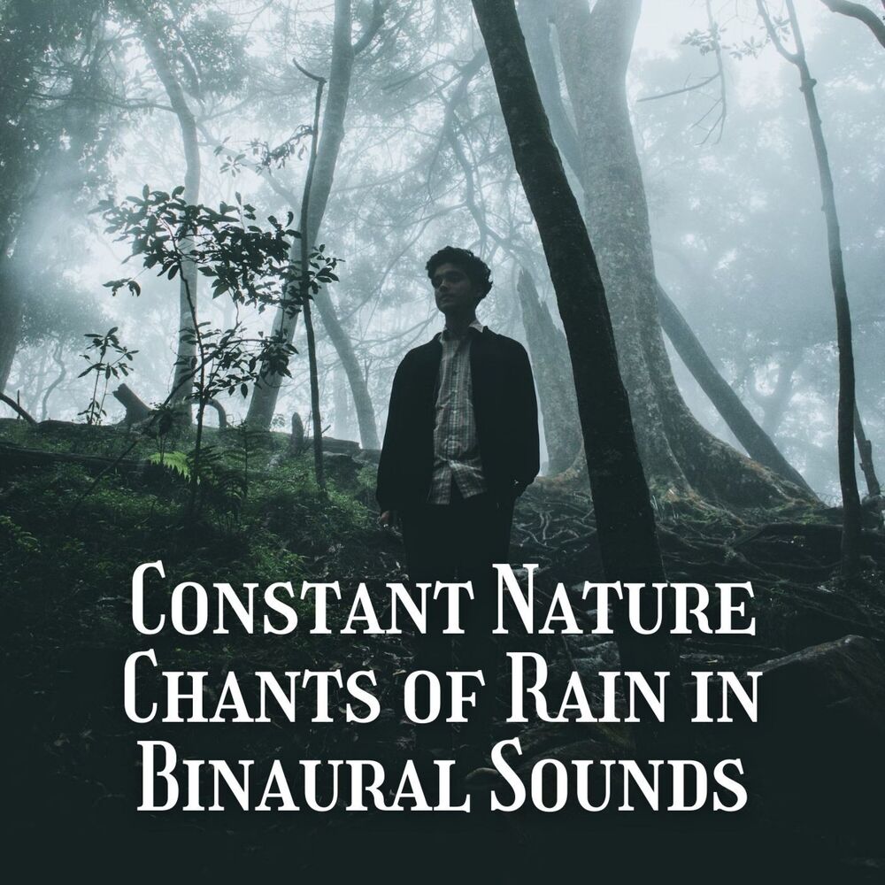 Picture of Constant Nature Chants of Rain in Binaural Sounds