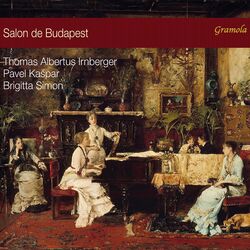 Cover of Salon de Budapest