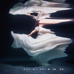 Cover of Not My Friend