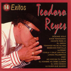 Cover of 14 Exitos