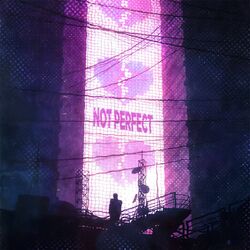 Cover of Not Perfect