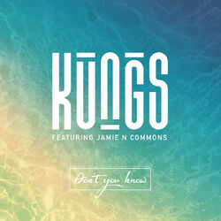 Cover of Don't You Know (DJ Licious Remix)