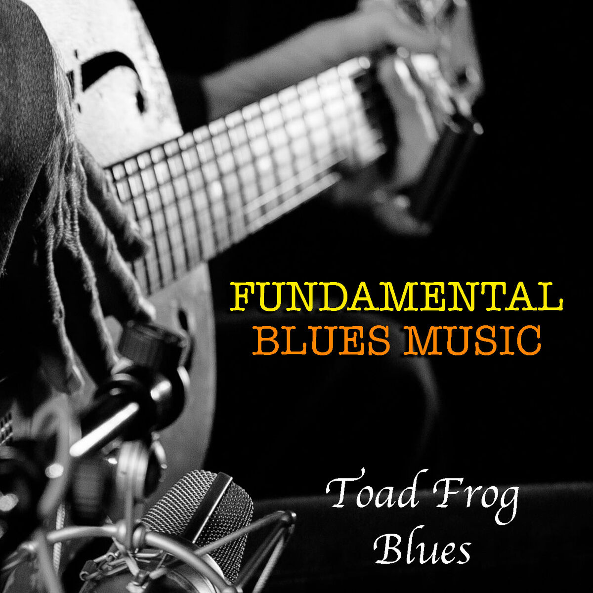 Album cover of Toad Frog Blues Fundamental Blues Music