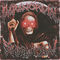 Paranormal shadow by L1OR album cover