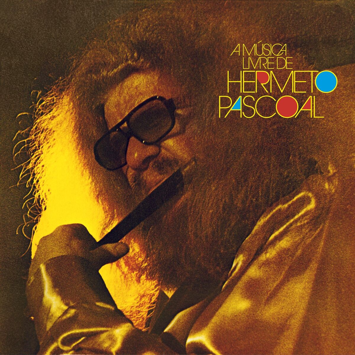 Album cover of A Música Livre De Hermeto Pascoal
