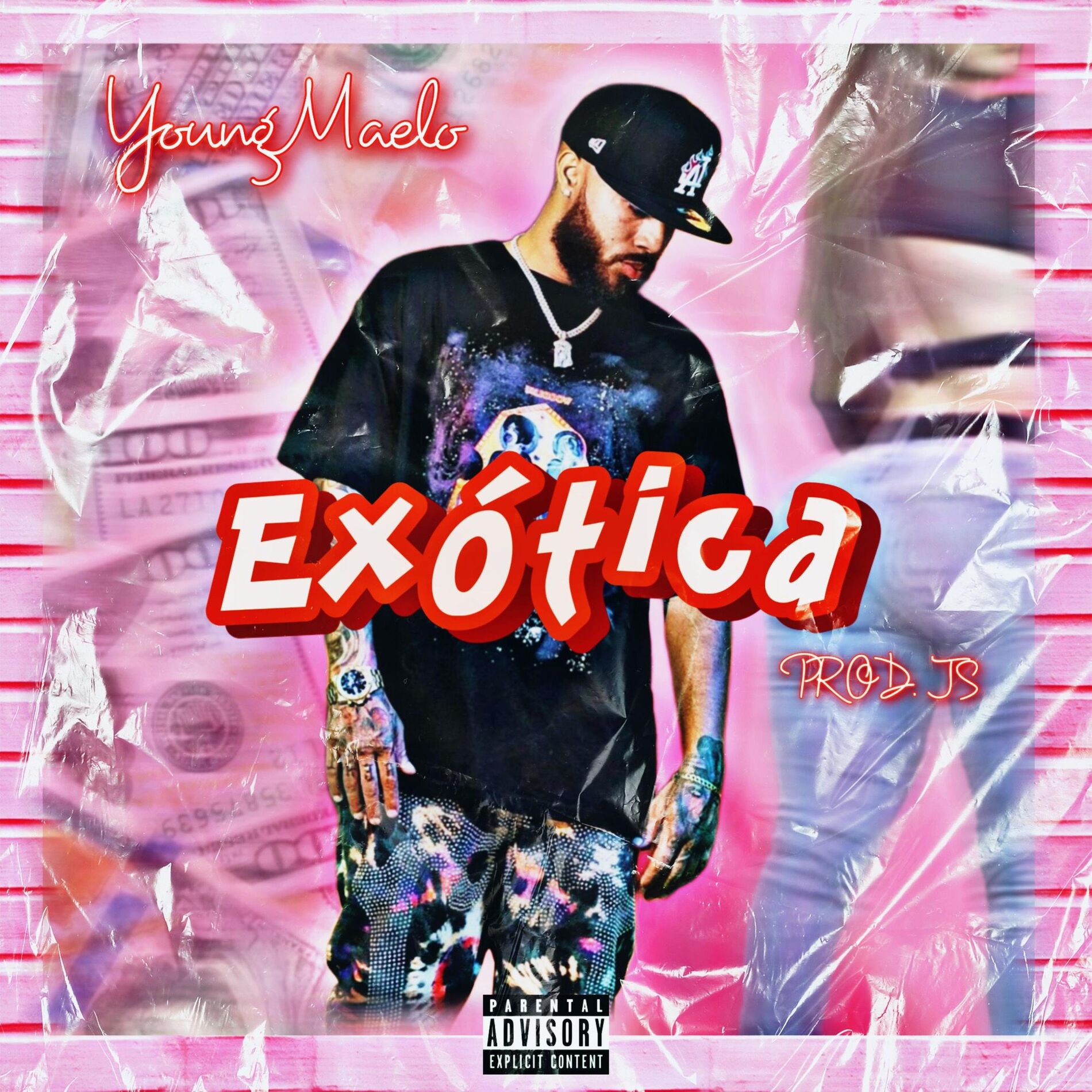 Album cover of Exotica