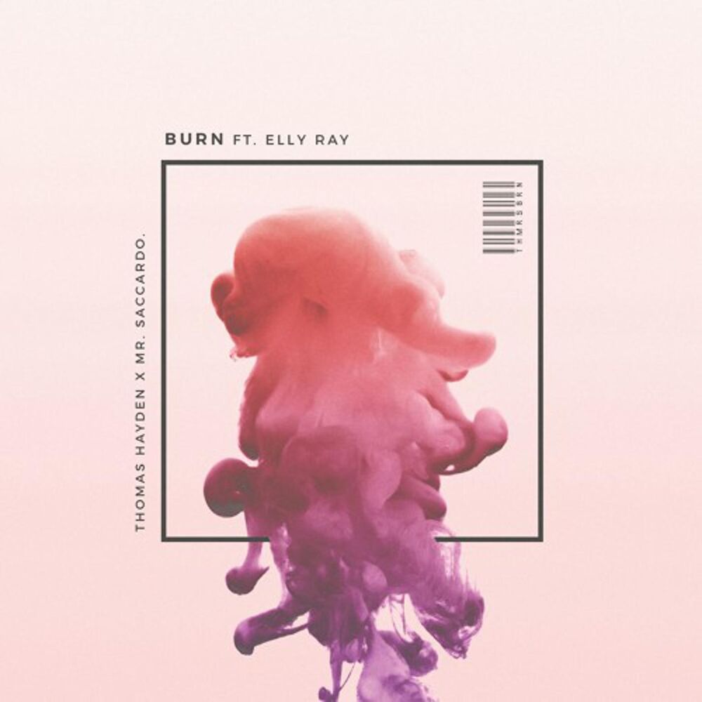 Picture of Burn (feat. Elly Ray)