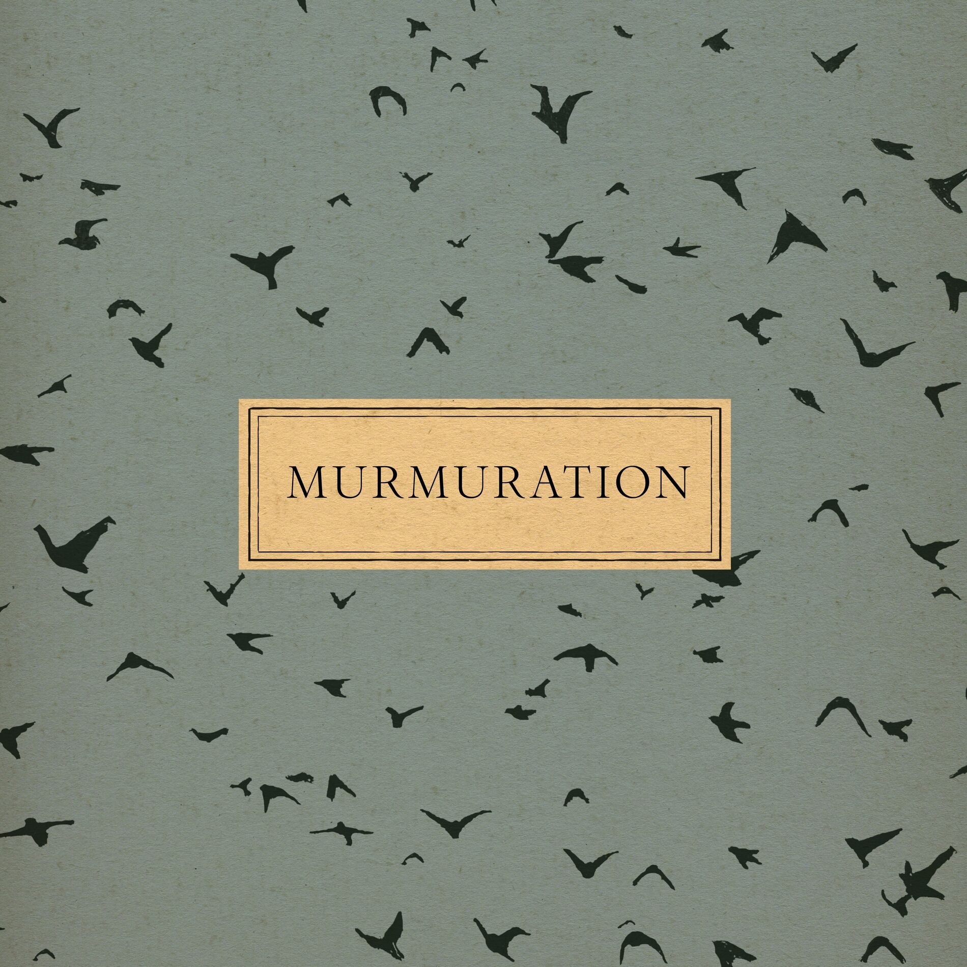 Album cover of Murmuration