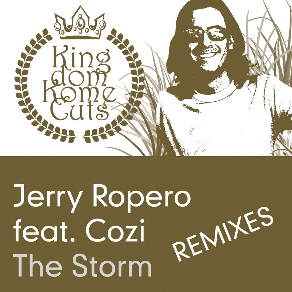 Picture of The Storm (feat. Cozi)