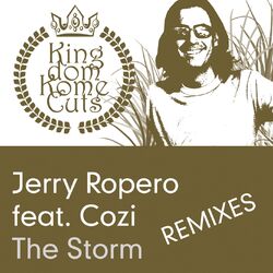 Cover of The Storm (feat. Cozi)
