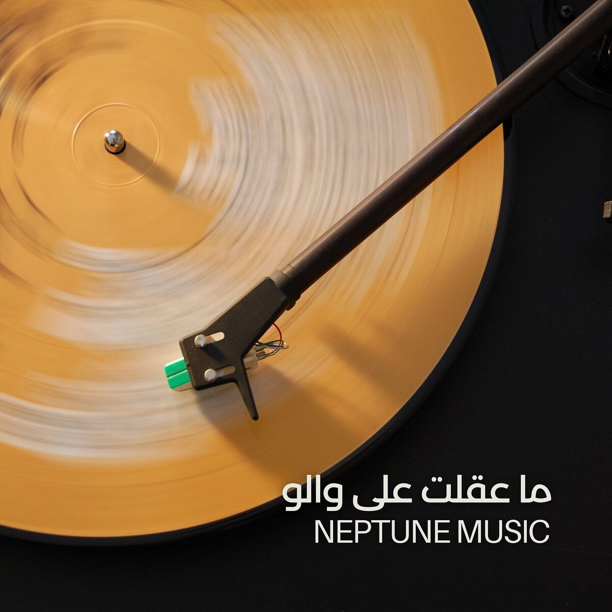 Album cover of ما عقلت على والو