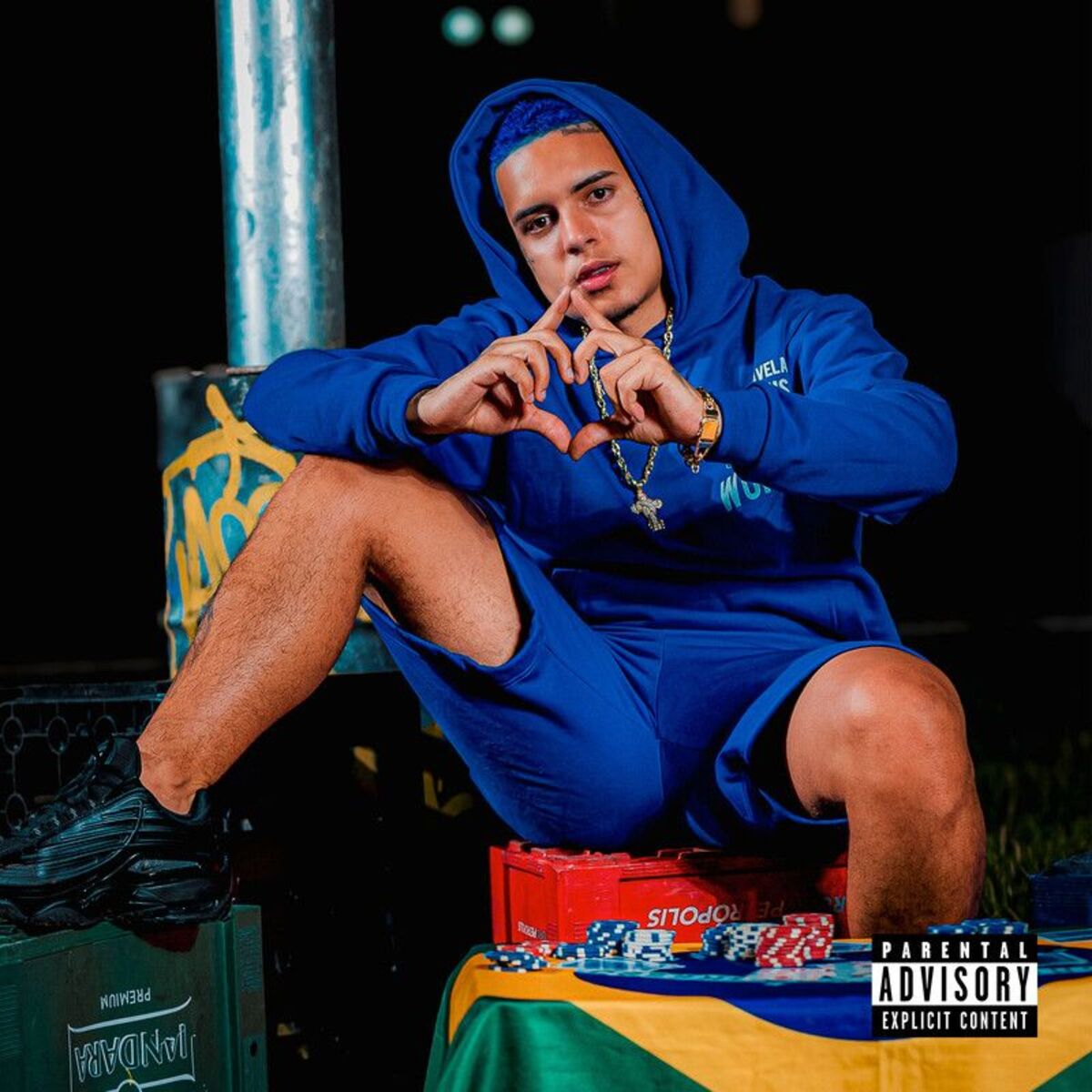 Album cover of Bom E Novo
