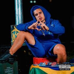 Cover of Bom E Novo