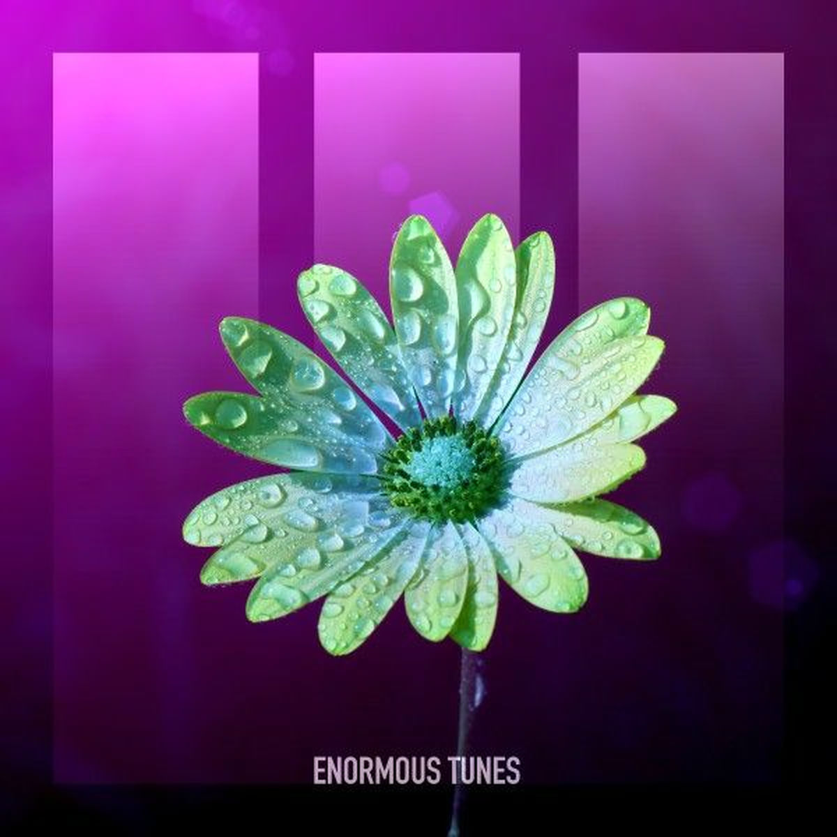 Album cover of Countdown (Vicissu Remixes)