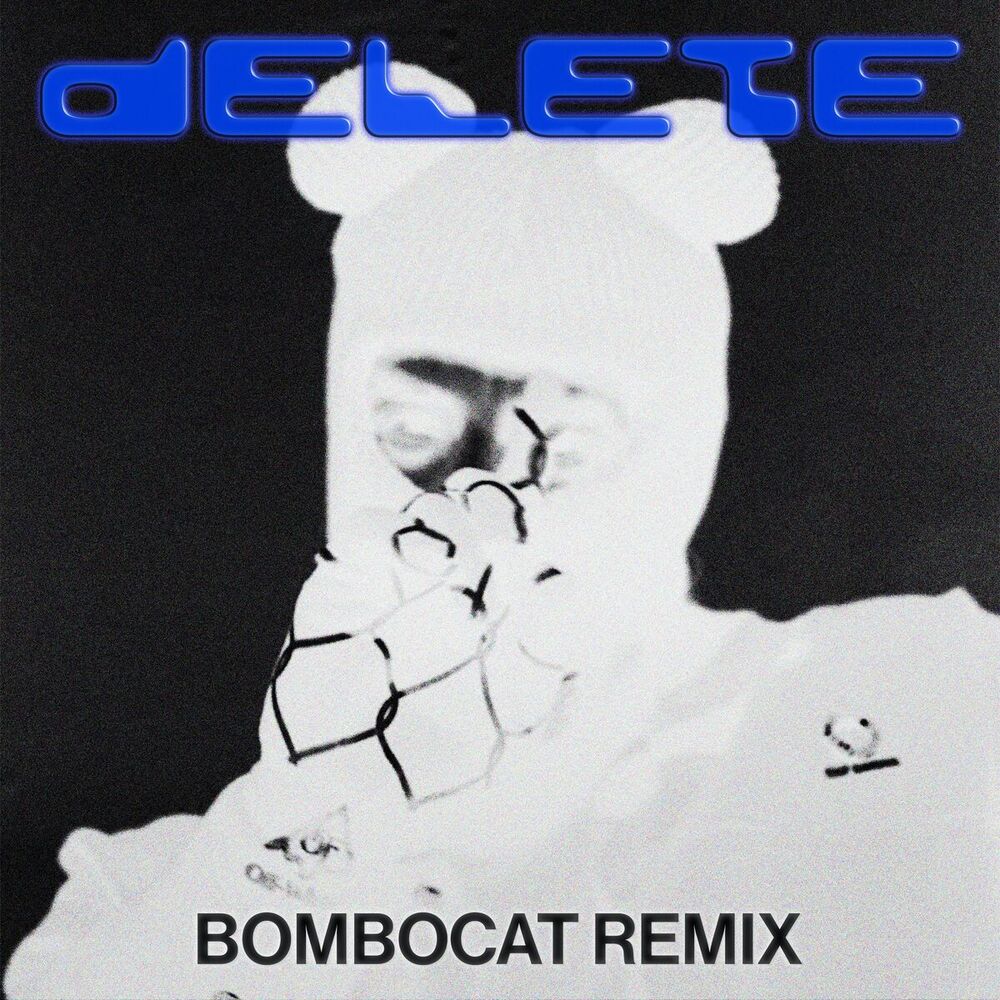 Picture of Delete (BomboCat Remix)
